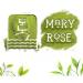 Mary Rose Matcha 500g - Th vert en poudre Th vert matcha de Chine Sans additifs Source de th ine Stimulation naturelle - Buy Online on GoSupps.com