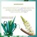 Yves Rocher Hair Density Rescue Intensive Treatment 1-Month - Strengthens & Redensifies Thin-Looking Hair - Buy Online on GoSupps.com