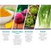 Gallbladder Support Formula Supplements for Natural Cleanse & Digestive Health - Includes Artichoke, Milk Thistle, Beet & Turmeric - 60 Caps - Buy Online on GoSupps.com