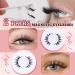 HeyAlice Magnetic Eyelashes Kit - Reusable No Glue Needed Natural Look Wispy Lashes with Applicator (2 Pairs) - International Shipping Available - Buy Online on GoSupps.com