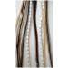 Buy Grizzly Extensions NEW 5 Individual Feather Extensions for Brown Hair Natural Look Fast Shipping Worldwide - Buy Online on GoSupps.com
