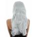 WIG ME UP GF-W2647-G79 | Long Wavy Blue-Grey Streaked Wig for Ladies | Fairy Elf Style - Buy Online on GoSupps.com