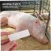 Iplusmile 4-Piece Animal Pregnancy Test Strips for Pigs | Agricultural Supplies | Farm Animal Pregnancy Testing Tool - Buy Online on GoSupps.com
