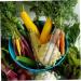 SUPVOX 1pc Vegetable Planting Melon Shaping Growing Shaped Stereotype Star Supply Plastic Fruit Growth - Buy Online on GoSupps.com
