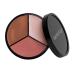 Cheek Palette: Bronzer  Highlighter  Blush Palette for Dewy Skin  Lit from Within by Dermaflage  10g/.35oz