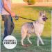 High-Quality 5m Cong Roll-Out Dog Leash for Large & Strong Dogs (Up to 70kg) - XL Reflective Design with Soft Handle & Break Lock System - Gray - Buy Online on GoSupps.com