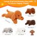 5 Piece Puppy Cuddly Toy Set - Soft Plush Dog Toys & Cozy Pillows for Puppies | Perfect Birthday Gift - Buy Online on GoSupps.com