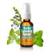 Herb Pharm Herbs on The Go Certified Organic Daily Calming Portable Spray Adaptogenic Support* 1 Ounce