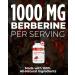 Renew Actives Berberine Maximum Potency 1000mg Per Serving - Supports Glucose Metabolism & Energy - Promotes Healthy Lipid Metabolism - Non-GMO Vegan - 90 Capsules - Made in Canada (2pk) 180 count (Pack of 1) - Buy Online on GoSupps.com