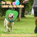 Adjustable Dog Collar - Rollen Ruff Leak Protection Soft Breathable Tape Neck Band in Blue & Green - Eco-Friendly Design - Buy Online on GoSupps.com