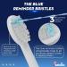 Buy Waterpik Sonic Fusion 2.0 Replacement Toothbrush Heads - SF-01 SF-02 Compatible Pack of 8 - Black & White - Buy Online on GoSupps.com