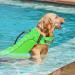 Alagirls Ripstop Dog Lifeguard Vest with Rescue Handle | Medium to Large Sizes | Green | Ideal for Small & Medium Dogs - Buy Online on GoSupps.com