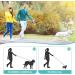 Chew-Proof Heavy Duty Metal Dog Chain Leash - 4FT Black Nylon Rope with Padded Handle - Strong Leads for Large/Medium Dogs - Ideal for Walking, Running, Training - Buy Online on GoSupps.com
