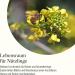 Martenbrown Yellow Mustard 10 kg Whole Grains | Yellow Mustard Seed for Green Manure | Whole White Mustard - Buy Online on GoSupps.com