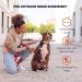 Vitazoo 3m Nylon Dog Leash - Adjustable Guide Lines with Carabiners for All Dog Sizes - Graphite & Red - Buy Online on GoSupps.com