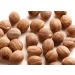 Gourmanity 1 lb Premium Whole Nutmeg | Kosher, Non-Irradiated, Vegan | Ideal for Grinding and Making Nutmeg Powder | Bulk Whole Nutmeg Nuts for Refill - Buy Online on GoSupps.com
