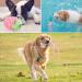 Vipnaji Puppy Toys - 15PCS Long-Lived Plush & Rope Toys for Small & Medium Dogs | Non-Toxic & Safe Cotton Wool | Perfect for Puppies - Buy Online on GoSupps.com