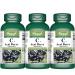 VORST Acai Berry 500mg 10:1 Extract (5000mg Raw Equivalent) with Vitamin C 3 X 90 Capsules | Antioxidant Supplement for Digestion Health Immune Health & Anti Aging | Includes Vitamin C | Powder Pills | 3 Bottles 90 count (Pack of 3)