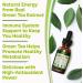 Green Tea Extract Supplement - Healthy Metabolism Boost & Natural Energy | Decaf, Immune Support & Antioxidants - 2oz - Buy Online on GoSupps.com