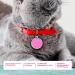 Personalized Ibera Cat Necklace for Medium to Large Cats - Engraved Collar & Address Tag - Round Shape - Pink - Buy Online on GoSupps.com