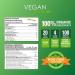 Vegan Pure Organic Protein & Greens (Vanilla) - Buy Online on GoSupps.com