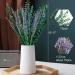 80 Pcs Mix Dried Eucalyptus & Lavender Flower Bundles for Shower - 100% Natural | Fresh Eucalyptus Leaves Stems | Hanging Shower Plant, Home Spa Decor - Buy Online on GoSupps.com