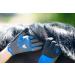 Roeckl Sports Riding Gloves Lynn for Ladies - Summer Gloves in Anthracite Sizes 6-8.5 | International Shipping Available - Buy Online on GoSupps.com