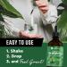 360 Nutrition Liquid Chlorophyll Drops with Peppermint Oil - Natural Detox & Digestion Support | Radiant Skin - 60 Servings - Buy Online on GoSupps.com