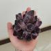 for 900g Natural Purple Ghost Phantom Quartz Crystal Cluster Rock Stones and Crystals Specimen Home 1pcs Crystal Cluster (Size : 700-800g) - Buy Online on GoSupps.com