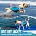 Eyein Shark Dog Life Jacket - Buoyant Pet Vest for Swimming, Boating, and Safety - Blue (M) - Chest Girth 51-59cm - Buy Online on GoSupps.com