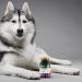 petnc NATURAL CARE Hip & Joint Level 2 Chewables - Liver Flavor, 60 Count - Buy Online on GoSupps.com