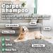 Dirtbusters Simply Carpet Cleaner Shampoo 3-In-1 Solution - 1L | Powerful Stain Removal & Odor Neutralizer | Wool Safe - Buy Online on GoSupps.com