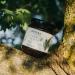 Odysea Pine and Fir Tree Raw Honey 250g - Buy Online on GoSupps.com