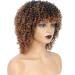 fallsea Braided Wigs For Black Women Curly Afro Wigs For Black Women Synthetic Wigs For Black Women T30