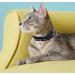 4 Pack Cat Collar Safety Release Adjustable Kitten Collars with Bell Reflective & Quick Release - Buy Online on GoSupps.com
