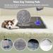 Fhiny Rabbit Pee Pads 100ct - Disposable Charcoal Bunny Pads for Dogs, Cats, Small Pets - Leak-Proof & Super Absorbent Potty Training Pad - 13 x 18 inches - Buy Online on GoSupps.com