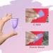 Buy Sirona Menstrual Cups - Large (Pack of 2) | Eco-Friendly Feminine Care | International Shipping - Buy Online on GoSupps.com