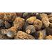 Grade A Dry Morel Mushrooms - Restaurant Quality - Hand Picked from The Forests of British Columbia - Buy Online on GoSupps.com
