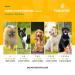 NaturVet GrassSaver Plus Enzymes for Dogs - 240 Soft Chews | Premium Lawn Protection - Buy Online on GoSupps.com