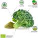 DRASANVI - BROCCOLI 150g ORGANIC DRASANVI - Buy Online on GoSupps.com