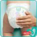 Pampers Baby-Dry Pants Size 3 (6-11 kg) - 26 Ultra-Absorbent Pants for Happy Dry Babies | Shop Now! - Buy Online on GoSupps.com