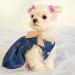 60pcs Dog Hair Bows - Grooming Bows for Dogs with High Tenacity Rubber Bands - 30 Beautiful Puppy Bows in Mix - Buy Online on GoSupps.com