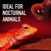 2-Pack 75W Infrared Heat Lamp Bulb for Reptiles - Red Heat Lamp for Enclosures - Keep Your Pets Warm - Buy Online on GoSupps.com