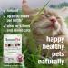 HomeoPet UTI Plus for Cats - Urinary Tract Support - 15ml - Buy Online on GoSupps.com