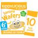Kiddylicious Banana Wafers - Gluten and Dairy Free Kids Snack - Suitable for 6+ Months - 4 x 10 Twin Packs (Pack of 3) Banana 10 Count (Pack of 12) - Buy Online on GoSupps.com