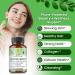 Organic Veda Greens Glow Superfoods Biotin Vegan Collagen Capsules for Hair Skin and Nails - Vitamin C E hyaluronic Acid & Chlorophyll - Moringa Green Tea Extract Antioxidants Supplement - 120 - Buy Online on GoSupps.com