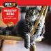 VetIQ Healthy Bites Urinary Care Cat Treats 8x 65g - Cranberry Supplement for Urinary Health - Cheese & Catnip Flavored Kitten Treats - Prebiotic Fibre for Cat Health - Buy Online on GoSupps.com