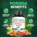 Satoomi 9in1 Moringa Capsules - Featuring Moringa, Turmeric, Boswellia, Ginger, Ashwagandha, Ceylon Cinnamon and Milk Thistle, and Resveratrol | Support Mood, Heart & Overall Health - 60 Count - Buy Online on GoSupps.com