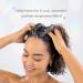 Buy Drybar Cocomint Float Whipped Scalp & Body Scrub - Exfoliating Scalp & Body Care for a Refreshing Experience - International Shipping Available - Buy Online on GoSupps.com