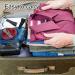 Portable Razor Case - Protective Cover for Travel Camping & Hiking | 4-Piece Razor Planer Case for Ultimate Protection - Buy Online on GoSupps.com